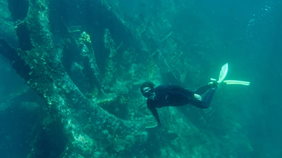 Mustique's Shipwreck