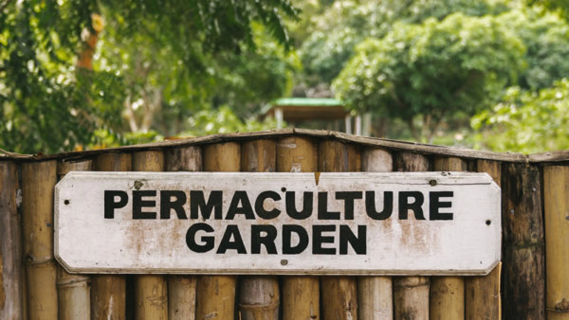 /assets/journal/permaculture-magic/permaculture-garden-image-4-1-600x400.jpeg