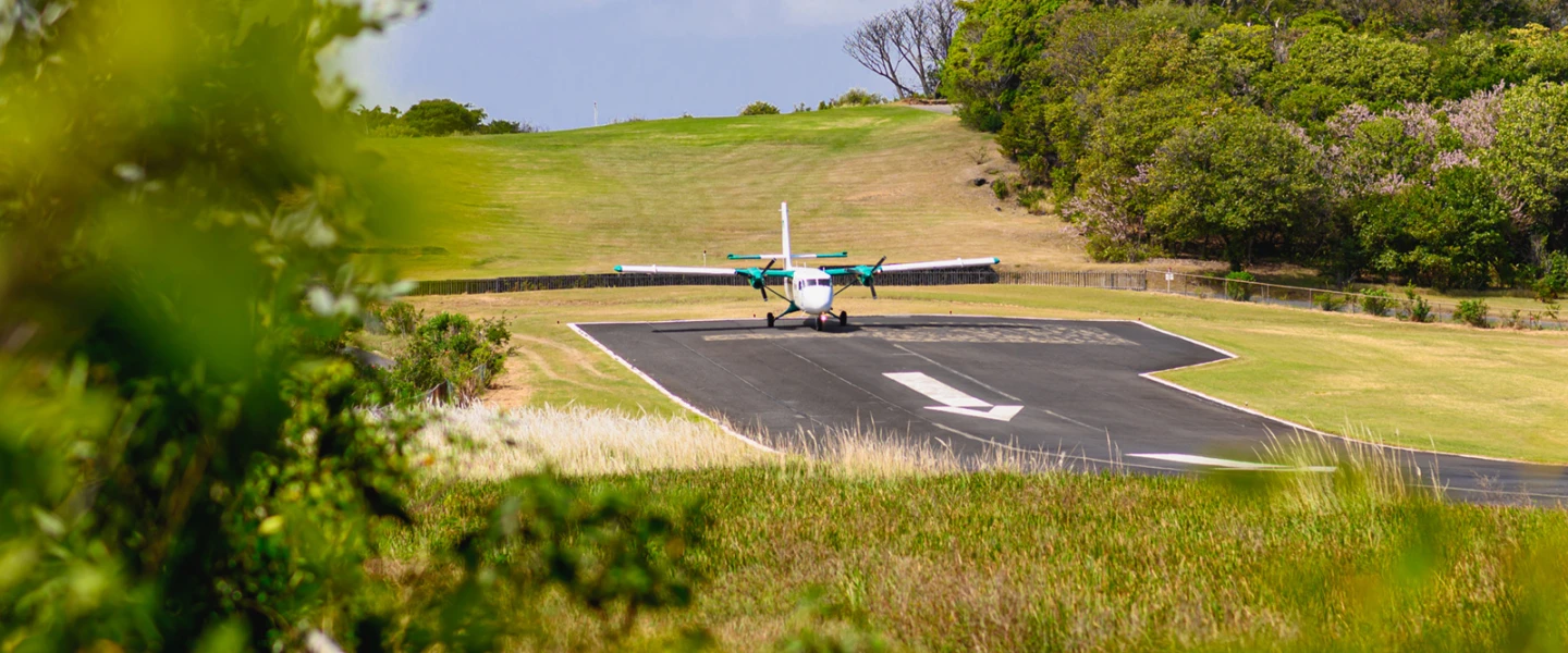 Mustique plane